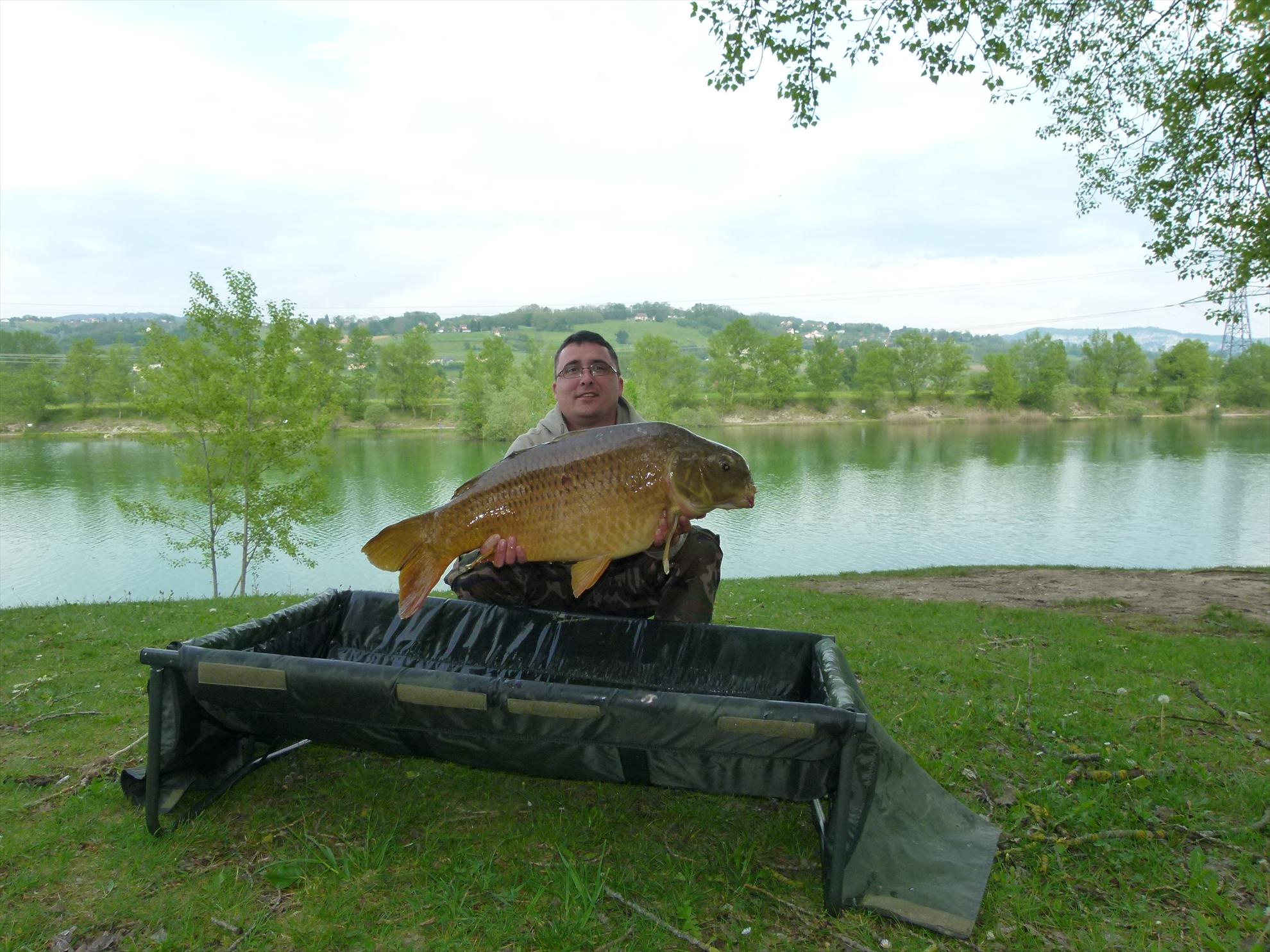 THE BIGS OF 2012 - p1000009.JPG